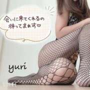 水戸  ゆり 次回 人妻の秘密