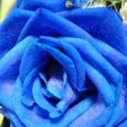 ヒメ日記 2025/12/19 10:15 投稿 あんな 成田人妻花壇