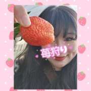 ヒメ日記 2025/01/24 23:35 投稿 つかさ 成田人妻花壇