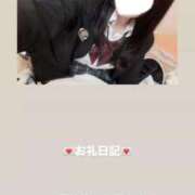 ヒメ日記 2026/03/10 13:07 投稿 葉月 まこ アリス女学院 日本橋校