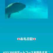 ヒメ日記 2026/04/13 15:39 投稿 葉月 まこ アリス女学院 日本橋校