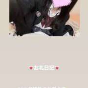 ヒメ日記 2026/06/18 07:47 投稿 葉月 まこ アリス女学院 日本橋校