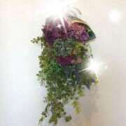 ヒメ日記 2025/02/22 09:06 投稿 りえ 美熟女倶楽部Hip's 春日部店