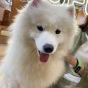 ヒメ日記 2025/06/30 18:04 投稿 りえ 美熟女倶楽部Hip's 春日部店