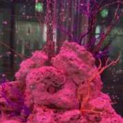 ヒメ日記 2025/08/20 08:54 投稿 りえ 美熟女倶楽部Hip's 春日部店