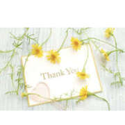 ヒメ日記 2025/08/22 23:14 投稿 りえ 美熟女倶楽部Hip's 春日部店