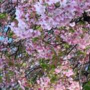 ヒメ日記 2026/03/15 11:32 投稿 りえ 美熟女倶楽部Hip's 春日部店