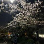 ヒメ日記 2025/04/12 09:22 投稿 あすな コスプレ痴漢電車