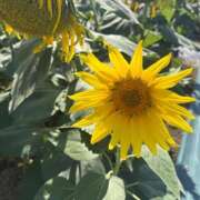 ヒメ日記 2025/08/21 09:22 投稿 あすな コスプレ痴漢電車