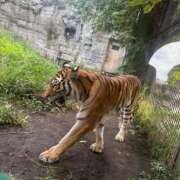 ヒメ日記 2025/08/23 09:09 投稿 あすな コスプレ痴漢電車