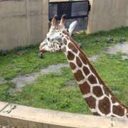 ヒメ日記 2025/08/26 09:26 投稿 あすな コスプレ痴漢電車