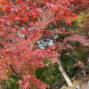 ヒメ日記 2025/09/30 09:29 投稿 あすな コスプレ痴漢電車