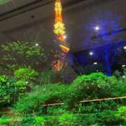 あすな わ コスプレ痴漢電車