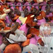 ヒメ日記 2025/12/14 09:24 投稿 あすな コスプレ痴漢電車