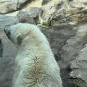 ヒメ日記 2025/11/09 09:28 投稿 あすな 全裸SUPERプレミアム