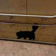 ヒメ日記 2025/11/02 00:26 投稿 伊藤なお 五反田ヒーローズ（ユメオト）