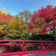 ヒメ日記 2025/11/14 19:18 投稿 伊藤なお 五反田ヒーローズ（ユメオト）