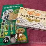 ヒメ日記 2025/02/16 12:06 投稿 すず 萌えコス