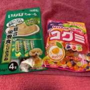 ヒメ日記 2025/03/15 12:45 投稿 すず 萌えコス