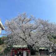 ヒメ日記 2025/04/05 19:47 投稿 すず 萌えコス