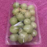 ヒメ日記 2025/11/01 16:22 投稿 すず 萌えコス