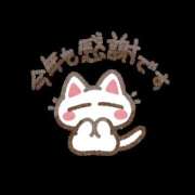 ヒメ日記 2024/12/29 22:40 投稿 高宮ほのか ホワイトハウス(曙町)
