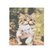 ヒメ日記 2025/05/10 21:25 投稿 高宮ほのか ホワイトハウス(曙町)