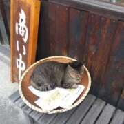 ヒメ日記 2025/09/20 11:10 投稿 高宮ほのか ホワイトハウス(曙町)