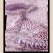 ヒメ日記 2025/10/18 14:00 投稿 高宮ほのか ホワイトハウス(曙町)