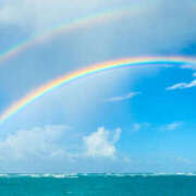 ヒメ日記 2025/11/15 09:10 投稿 高宮ほのか ホワイトハウス(曙町)