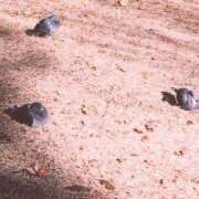 高宮ほのか 金曜日 ホワイトハウス(曙町)