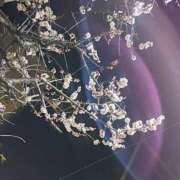 ヒメ日記 2025/03/04 01:51 投稿 めい 成田人妻花壇