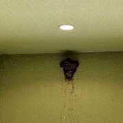 ヒメ日記 2025/05/26 19:40 投稿 めい 成田人妻花壇