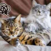 ヒメ日記 2026/03/07 18:43 投稿 めい 成田人妻花壇