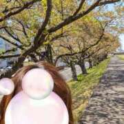 ヒメ日記 2026/04/13 21:56 投稿 めい 成田人妻花壇