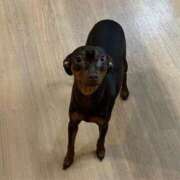 ヒメ日記 2025/05/27 12:03 投稿 りこ 逢って30秒で即尺