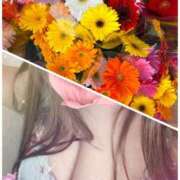 ヒメ日記 2025/01/12 11:21 投稿 かれん 成田人妻花壇