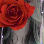 ヒメ日記 2025/01/12 15:34 投稿 かれん 成田人妻花壇