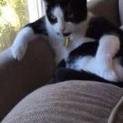 ヒメ日記 2025/01/12 19:16 投稿 かれん 成田人妻花壇