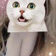 ヒメ日記 2025/03/31 17:57 投稿 かれん 成田人妻花壇