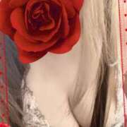 ヒメ日記 2025/05/17 22:41 投稿 かれん 成田人妻花壇