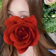 ヒメ日記 2025/12/27 19:40 投稿 かれん 成田人妻花壇