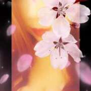 ヒメ日記 2026/01/01 00:31 投稿 かれん 成田人妻花壇