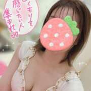 ヒメ日記 2025/04/04 09:51 投稿 なみえ【妖艶なEカップ巨乳美女】 LIPS(リップス)