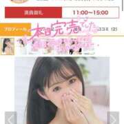 ヒメ日記 2025/02/10 15:23 投稿 みゆ プロフィール加古川