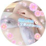 ヒメ日記 2025/02/18 12:31 投稿 みゆ プロフィール加古川