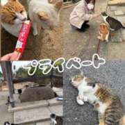 ヒメ日記 2025/11/30 16:42 投稿 みゆ プロフィール加古川