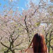 みゆ ４月のラスト プロフィール加古川