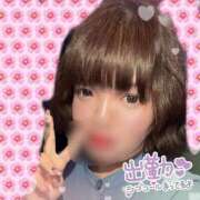 ヒメ日記 2026/03/19 14:39 投稿 あや 奴隷コレクション梅田店