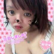 ヒメ日記 2026/03/25 11:00 投稿 あや 奴隷コレクション梅田店